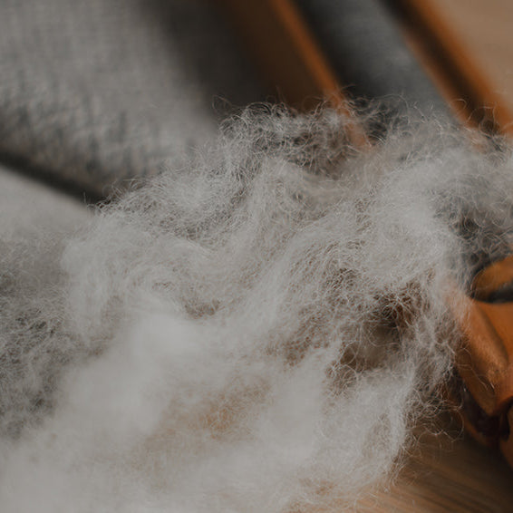 Close-up of white fibers on a wooden surface